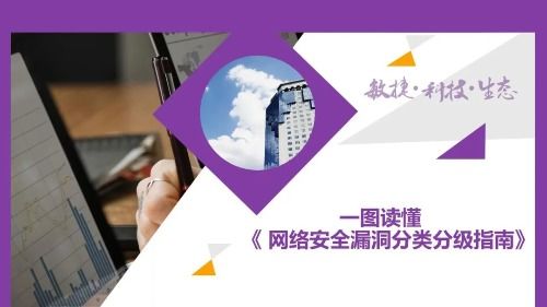 一圖讀懂網(wǎng)絡安全漏洞分類分級指南